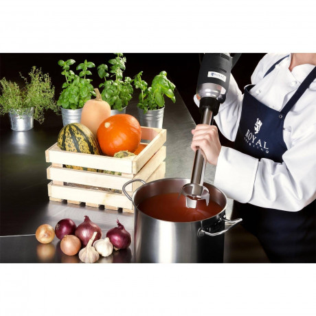 Royal Catering Royal Catering Stabmixer Stabmixer Purierstab Gastro 500W Edelstahl Handmixer Zerkleinerer, 500 W  Ручной блендер Royal Catering Ручной блендер Purierstab Gastro 500 Вт Ручной миксер из нержавеющей стали-измельчитель, 500 Вт