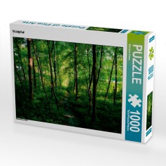 CALVENDO Puzzle CALVENDO Puzzle Waldpfad Пазл CALVENDO Пазл лесная тропинка