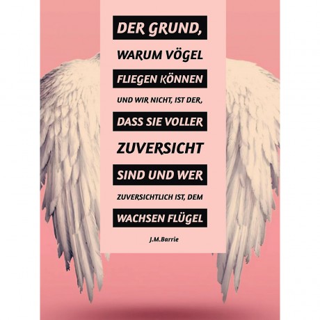 CALVENDO Puzzle CALVENDO Puzzle Fliegen Пазл CALVENDO Puzzle Мухи