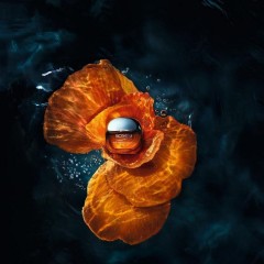 Biotherm Amber Algae Revitalize Night Cream  Оживляющий ночной крем с янтарными водорослями