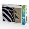 CALVENDO Puzzle CALVENDO Puzzle Lappenstare auf Zebrarucken Пазл CALVENDO Puzzle Скворцы на спине зебры