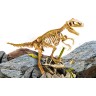 Lisciani I?m Genius Science Superkit  T-Rex I?m Genius Science Superkit T-Rex