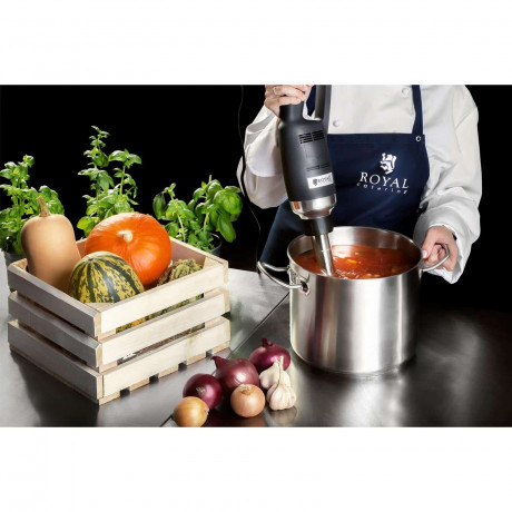Royal Catering Royal Catering Stabmixer Stabmixer Mixer mit Purierstab 16 000 U/min 350 W  Ручной блендер Royal Catering Ручной блендер миксер со стержнем Purier 16 000 об/мин 350 Вт