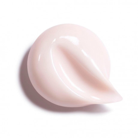 CHANEL CREME RICHE  НАСЫЩЕННЫЙ КРЕМ