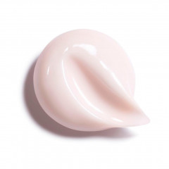 CHANEL CREME RICHE  НАСЫЩЕННЫЙ КРЕМ