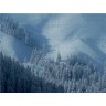 CALVENDO Puzzle CALVENDO Puzzle Winter Traum Пазл CALVENDO Пазл Winter Dream