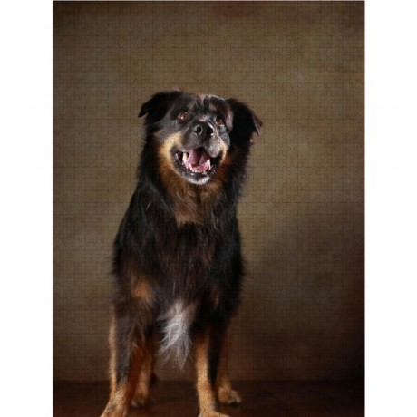 CALVENDO Puzzle CALVENDO Puzzle Hobbit Пазл CALVENDO Пазл Хоббит