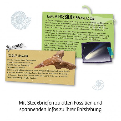 Kosmos Ausgrabungs-Set Fossilien Набор для раскопок Окаменелости
