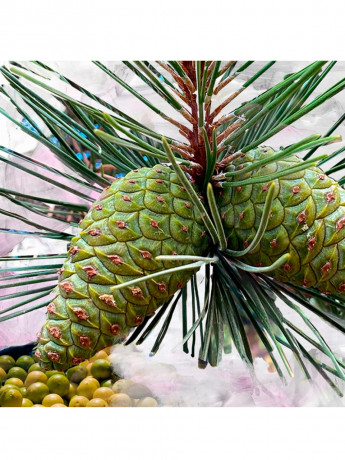 BYREDO Le Corps Gypsy Water Körperpflegeset Подарочный набор "Gyrsy Water" для тела: лосьон и средство для душа