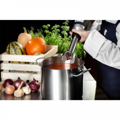 Royal Catering Royal Catering Stabmixer Stabmixer Gastro 350 W Edelstahl Mixer Mixstab Purierstab 16.000 U min, 350 W  Ручной блендер Royal Catering ручной блендер гастро 350 Вт миксер из нержавеющей стали стержень для смешивания очистительный стержень 16