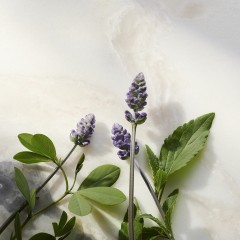 Rituals Glow Anti-Ageing Day Cream Refill 50ml Запасной блок с антивозрастным дневным кремом Glow