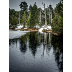 CALVENDO Puzzle CALVENDO Puzzle Blindelsee Пазл CALVENDO Puzzle Blindelsee