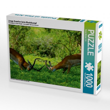 CALVENDO Puzzle CALVENDO Puzzle Junge Gazellen beim Machtkampf Пазл CALVENDO Puzzle Молодые газели в борьбе за власть