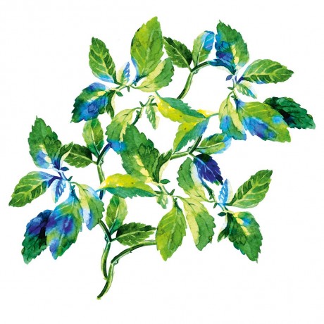 Yves Rocher Pure Menthe Klarende Tonerde-Maske Pure Menthe очищающая глиняная маска