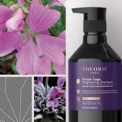 Theorie Purple Sage Brightening Shampoo  Осветляющий шампунь Purple Sage