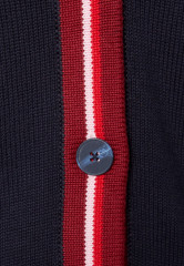 Tommy Hilfiger VIBRANT STRIPE CARDIGAN Cardigan desert sky ЯРКИЙ КАРДИГАН В ПОЛОСКУ Кардиган небо пустыни