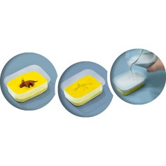 SES Creative Dino-Fossilien Окаменелости динозавров