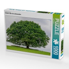 CALVENDO Puzzle CALVENDO Puzzle Eiche in den vier Jahreszeiten. Пазл CALVENDO Пазл Дуб в четыре сезона.