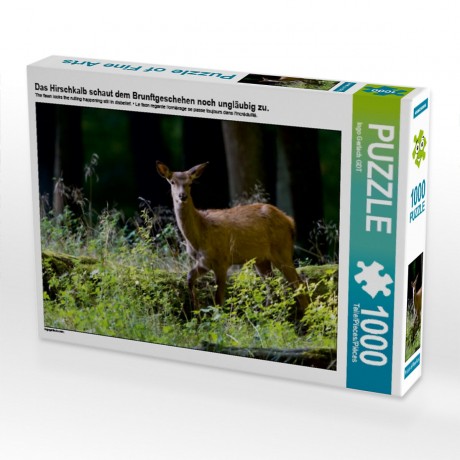 CALVENDO Puzzle CALVENDO Puzzle Das Hirschkalb schaut dem Brunftgeschehen noch unglaubig zu. Пазл CALVENDO Puzzle Олененок недоверчиво наблюдает за процессом гона.