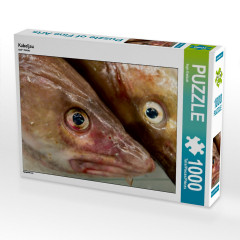 CALVENDO Puzzle CALVENDO Puzzle Kabeljau Пазл CALVENDO Пазл треска