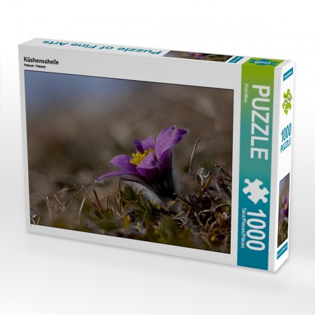 CALVENDO Puzzle CALVENDO Puzzle Kuchenschelle Пазл CALVENDO Зажим для торта-пазла