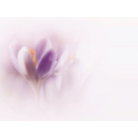 CALVENDO Puzzle CALVENDO Puzzle Farbtupfer der Natur Пазл CALVENDO Puzzle Всплеск цвета от природы