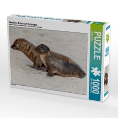 CALVENDO Puzzle CALVENDO Puzzle Seelowen Babys auf Galapagos Пазл CALVENDO Puzzle Детеныши морских львов на Галапагосах