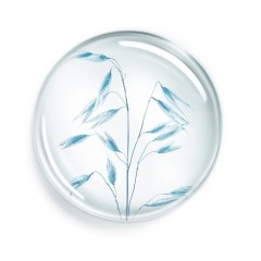 Annayake 24H Soin de douche 24 часа в душе