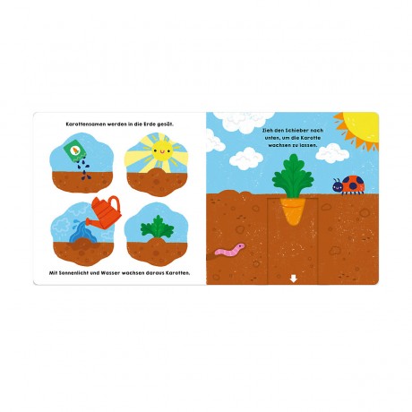 Sauerlander Verlag Glucksfisch: Alles wachst! Глюки Фиш: Все растет!