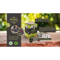 ASS Altenburger Das grune Romme Зеленый Рамми