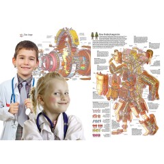 MEDUP Meine Gesundheit Experimentierkasten Sehen Смотрите мой набор для экспериментов со здоровьем