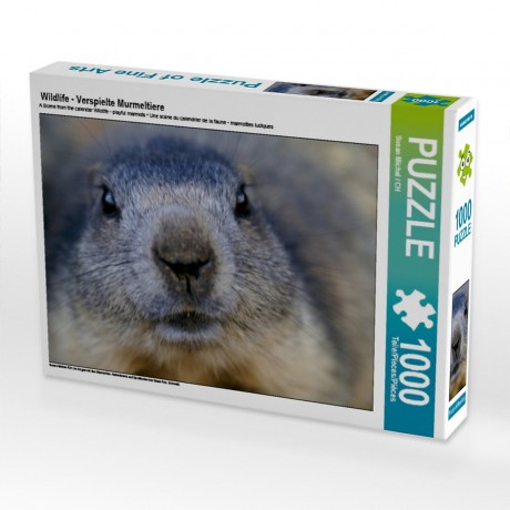 CALVENDO Puzzle CALVENDO Puzzle Wildlife Пазл CALVENDO Puzzle Дикая природа