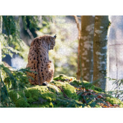 CALVENDO Puzzle CALVENDO Puzzle Luchs Пазл CALVENDO Пазл рысь