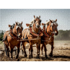 CALVENDO Puzzle CALVENDO Puzzle Landwirtschaft Пазл CALVENDO Пазл Сельское хозяйство