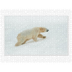 CALVENDO Puzzle CALVENDO Puzzle Emotionale Momente: Der Eisbar. \/ CH-Version Пазл CALVENDO Пазл Эмоциональные моменты: ледяной бар. \/ версия CH