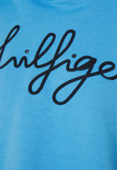 Tommy Hilfiger RELAXED SCRIPT HOODIE Sweatshirt hydrangea blue RELAXED SCRIPT HOODIE Свитер гортензия синяя