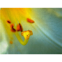 CALVENDO Puzzle CALVENDO Puzzle Madonna Lilie Пазл CALVENDO Пазл Мадонна Лилия