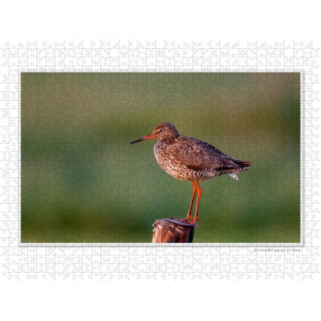 CALVENDO Puzzle CALVENDO Puzzle Emotionale Momente: Die Vogelinsel Texel. \/ CH-Version Пазл CALVENDO Пазл Эмоциональные моменты: Птичий остров Тексел. \/ версия CH