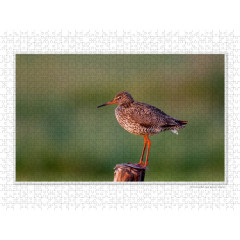 CALVENDO Puzzle CALVENDO Puzzle Emotionale Momente: Die Vogelinsel Texel. \/ CH-Version Пазл CALVENDO Пазл Эмоциональные моменты: Птичий остров Тексел. \/ версия CH