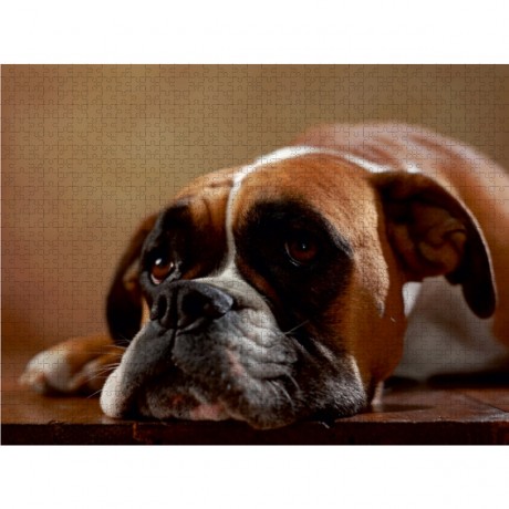 CALVENDO Puzzle CALVENDO Puzzle Maja Пазл CALVENDO Пазл Maya