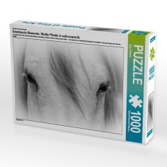 CALVENDO Puzzle CALVENDO Puzzle Emotionale Momente: Weisse Pferde in schwarzweiss. Пазл CALVENDO Пазл Эмоциональные моменты: белые лошади в черно-белом.