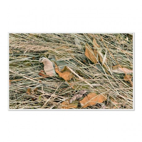 CALVENDO Puzzle CALVENDO Puzzle Emotionale Momente: Einfach Heu. \/ CH-Version Пазл CALVENDO Puzzle Эмоциональные моменты: просто сено. \/ версия CH