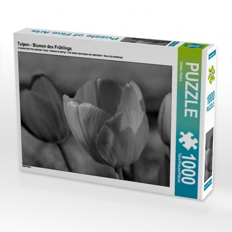 CALVENDO Puzzle CALVENDO Puzzle Tulpen Пазл CALVENDO Пазл Тюльпаны