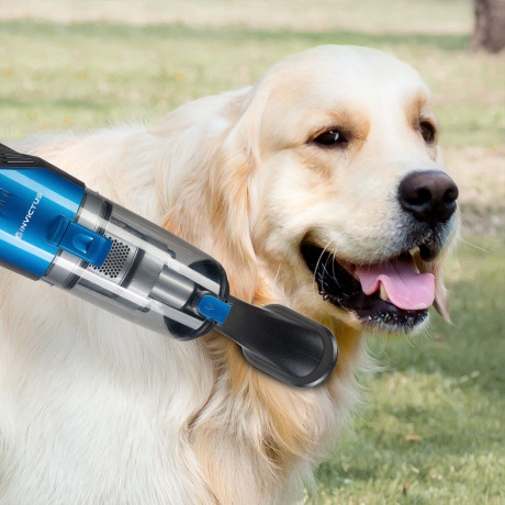 Genius Genius Nass-Trocken-Akkusauger INVICTUS M7 Akkustaubsauger Deluxe-Set 15-tlg. Nass- Trockensauger, Wassertank  Беспроводной пылесос Genius для влажной и сухой уборки INVICTUS M7 Беспроводной пылесос делюкс, набор из 15 предметов. Пылесос для влажно