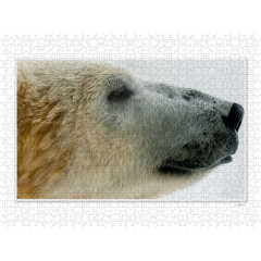 CALVENDO Puzzle CALVENDO Puzzle Emotionale Momente: Die Augen der Tiere. \/ CH-Version Пазл CALVENDO Пазл Эмоциональные моменты: Глаза животных. \/ версия CH
