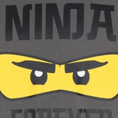 LEGO Langarmshirt fur Jungen Рубашка с длинным рукавом для мальчиков