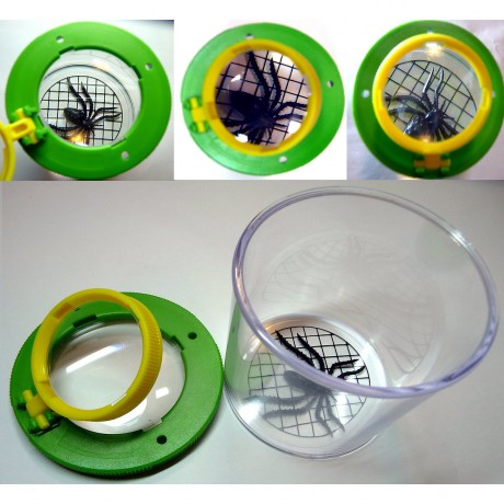 Edu-Toys 4 Stuck Becherlupen 4 увеличительных стекла кружки