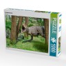 CALVENDO Puzzle CALVENDO Puzzle Tyrannosaurus Пазл CALVENDO Пазл Тираннозавр