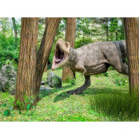 CALVENDO Puzzle CALVENDO Puzzle Tyrannosaurus Пазл CALVENDO Пазл Тираннозавр