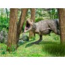 CALVENDO Puzzle CALVENDO Puzzle Tyrannosaurus Пазл CALVENDO Пазл Тираннозавр